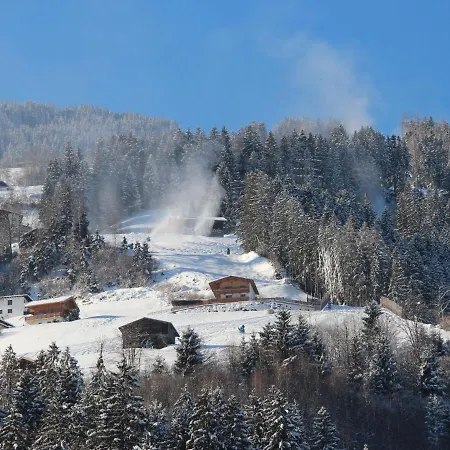 Hoerhager By Interhome Apartmán Aschau Im Zillertal